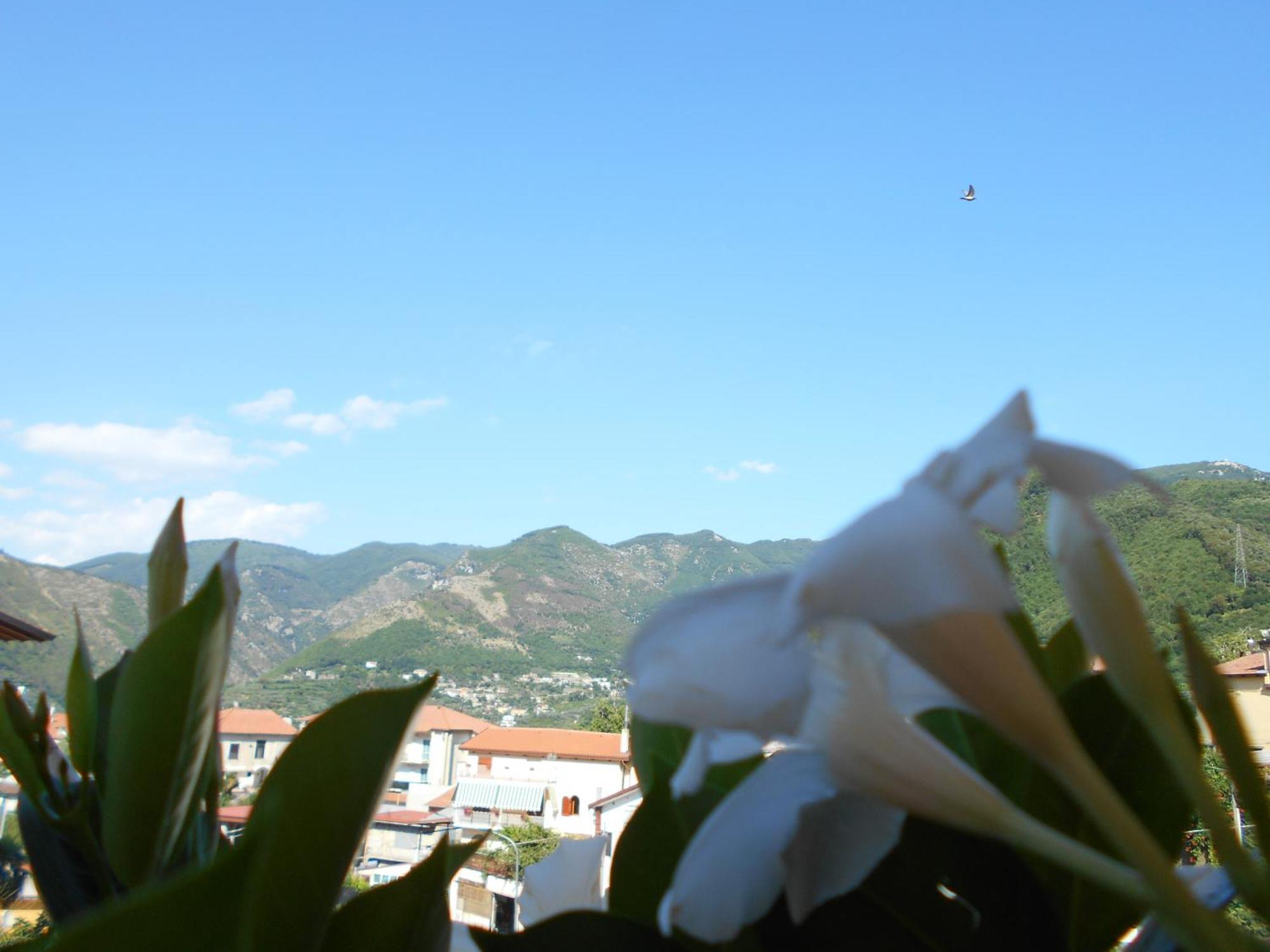 Appartamento Mare E Monti Pimonte Ngoại thất bức ảnh